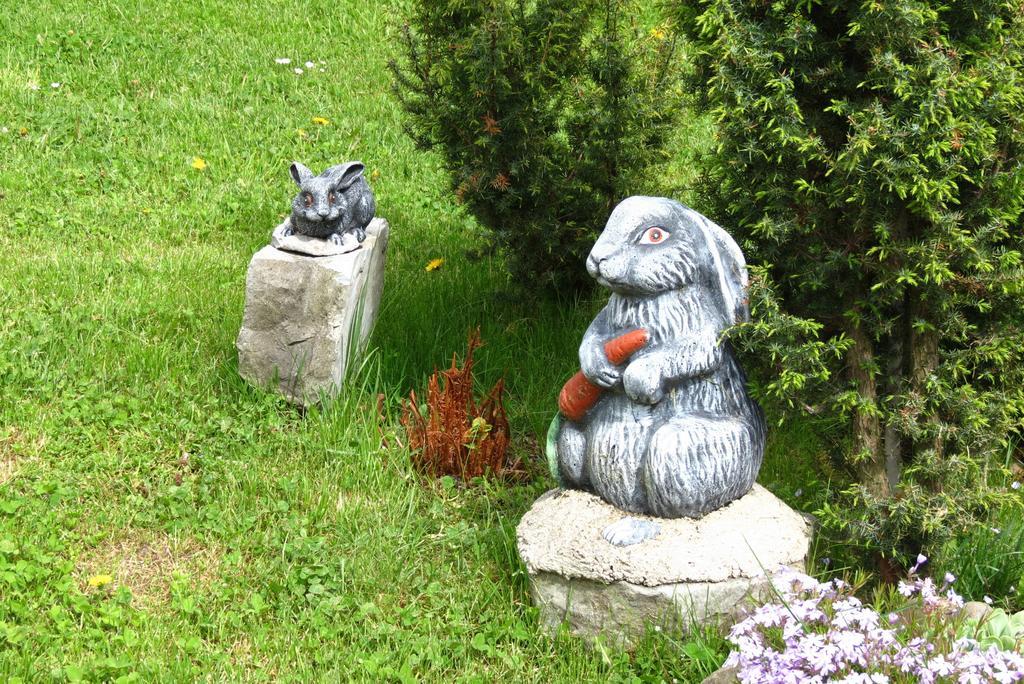 Bilyy Kamin Guest House Tatariv Cameră foto